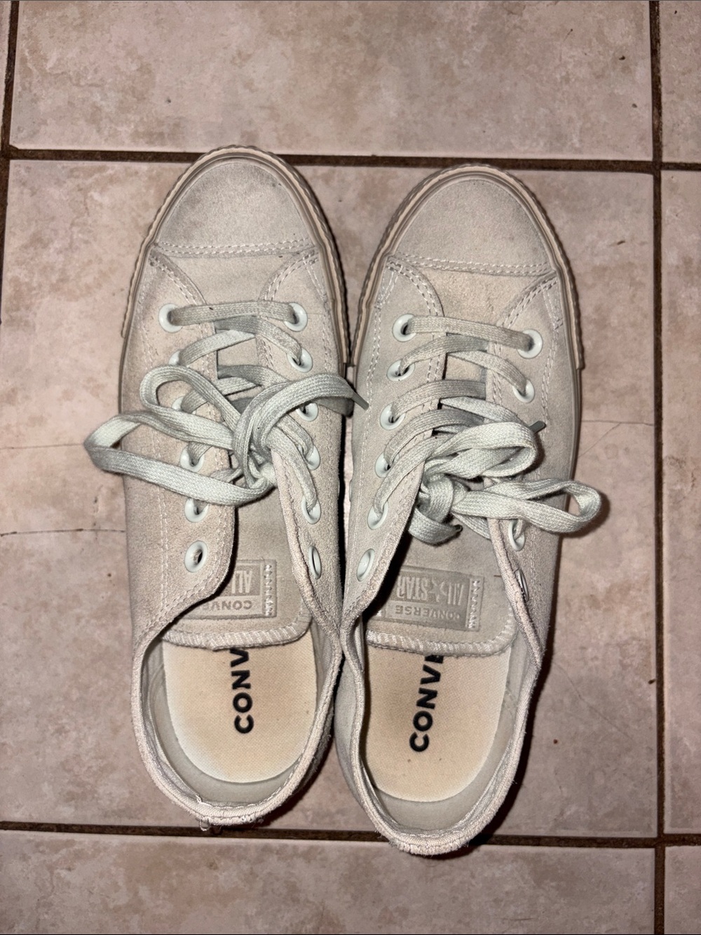 Converse Low Top Canvas Sneakers in Light blue